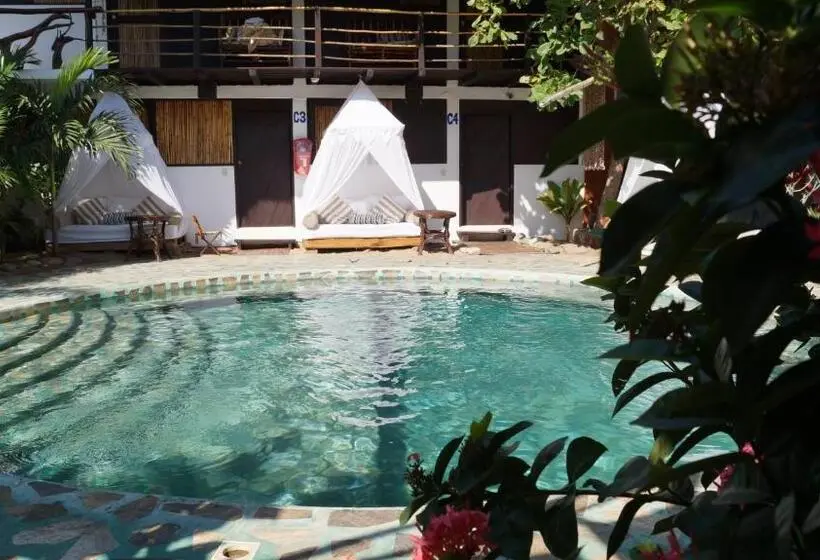 スタンダード４人部屋, Buda Mar Zipolite
