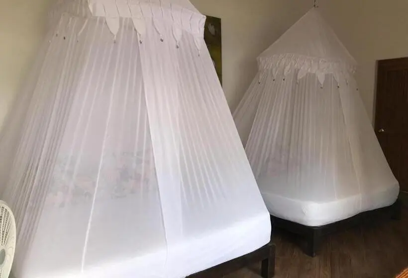 スタンダード４人部屋, Buda Mar Zipolite