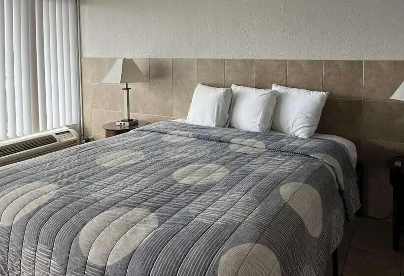 身障者適用キングサイズベッドルーム, Motel 6 Mesquite, Tx Town East