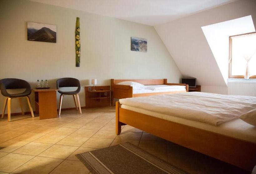 Номер Стандарт Трехместный, Motel Skalka