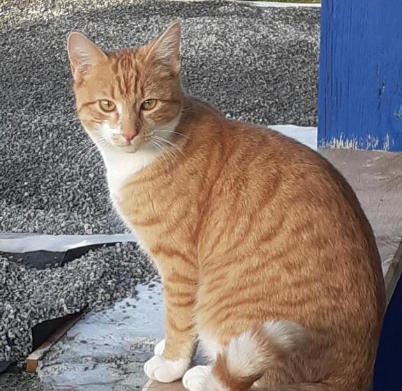 1階の1ベッドルームアパートメント, Gite L Imprévu