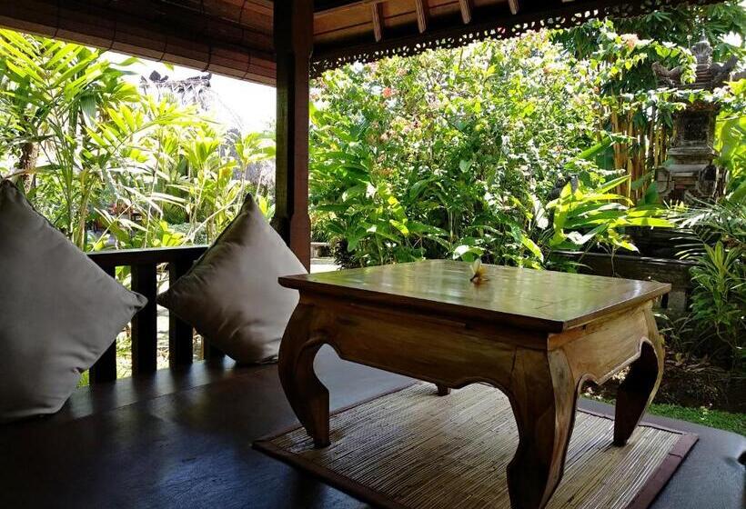 חדר סופריור, Inang Villa