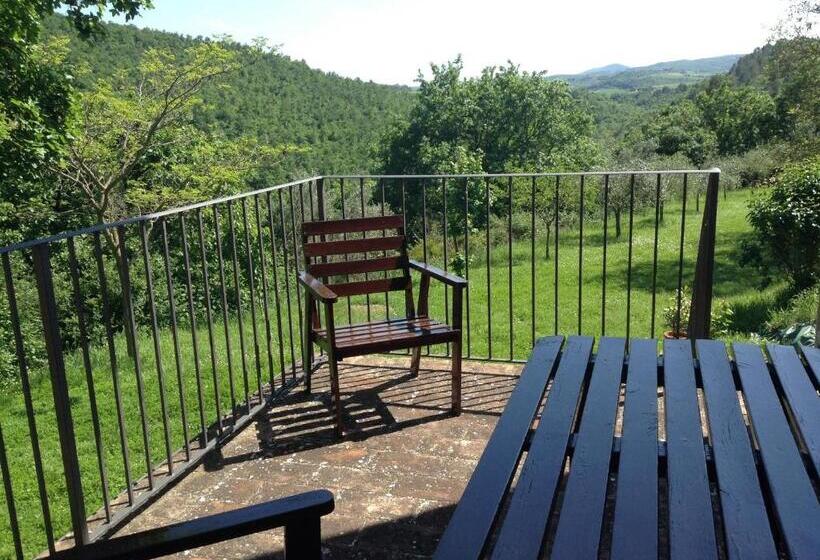 Superior studio with terrace, La Casaccia