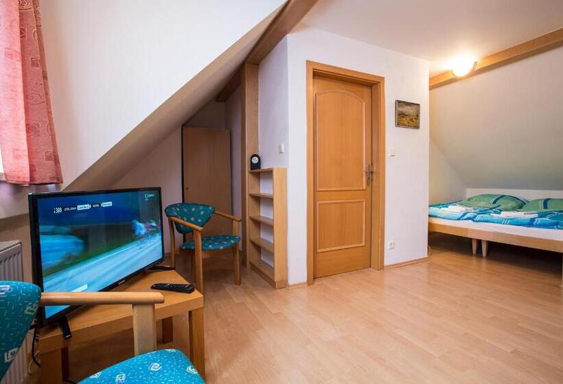 Апартаменты 1 Спальня с Видом, Penzion Barborka