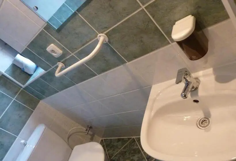 Standard-huone, Pension Ayky