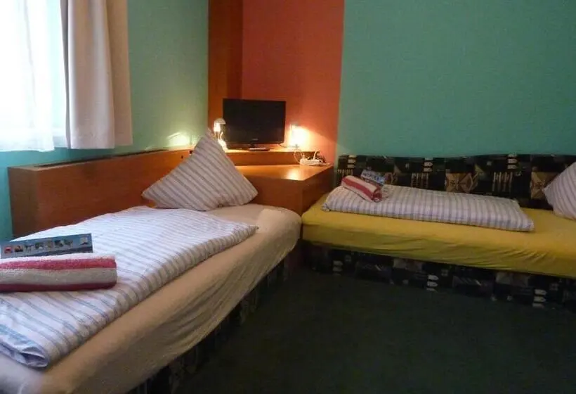 Standard-huone, Pension Ayky