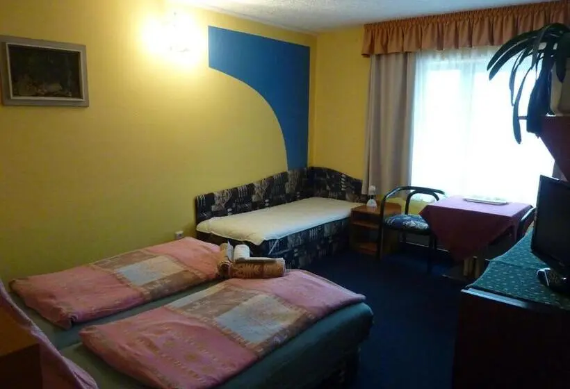 Standard Kolmen Hengen Huone, Pension Ayky