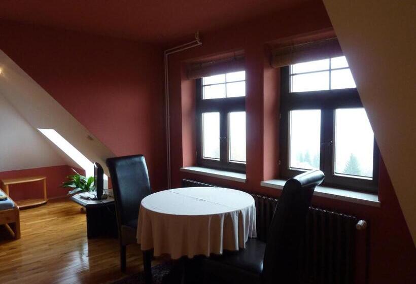 استودیوی کلاسیک, Pension Ayky