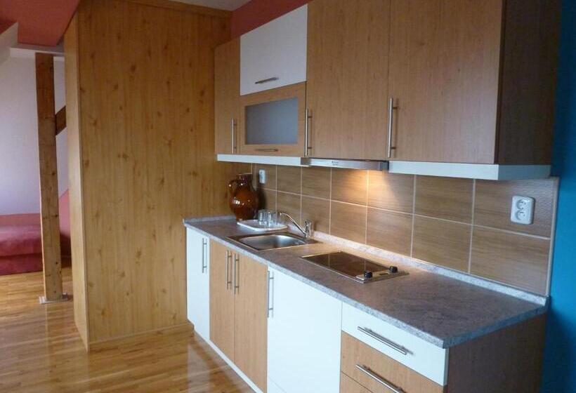 استودیوی کلاسیک, Pension Ayky