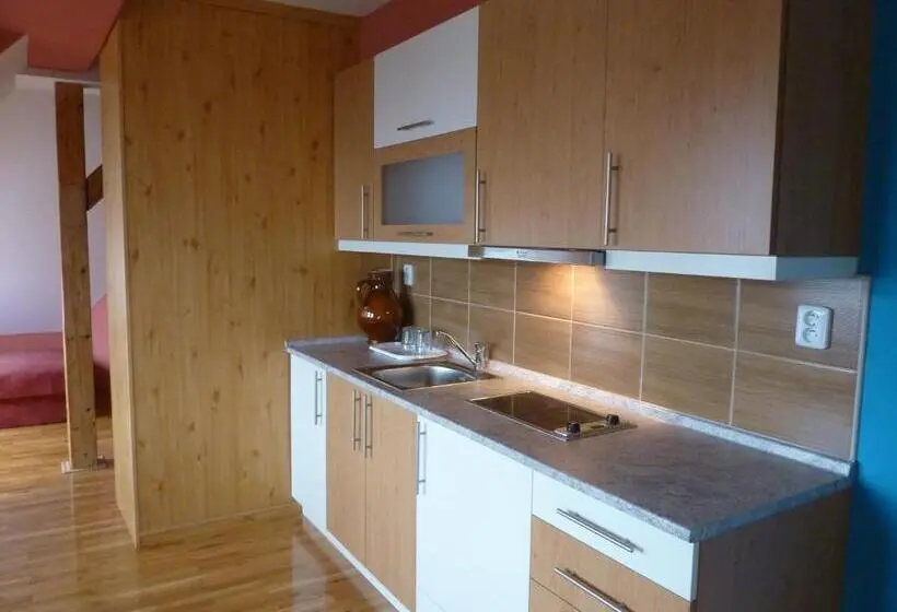 Classic-studio, Pension Ayky
