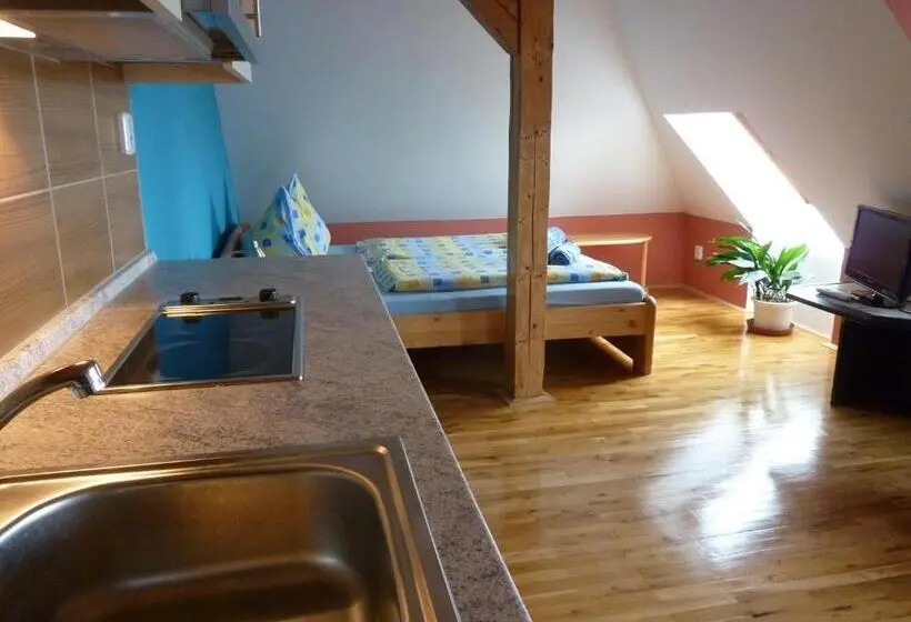 Classic-studio, Pension Ayky
