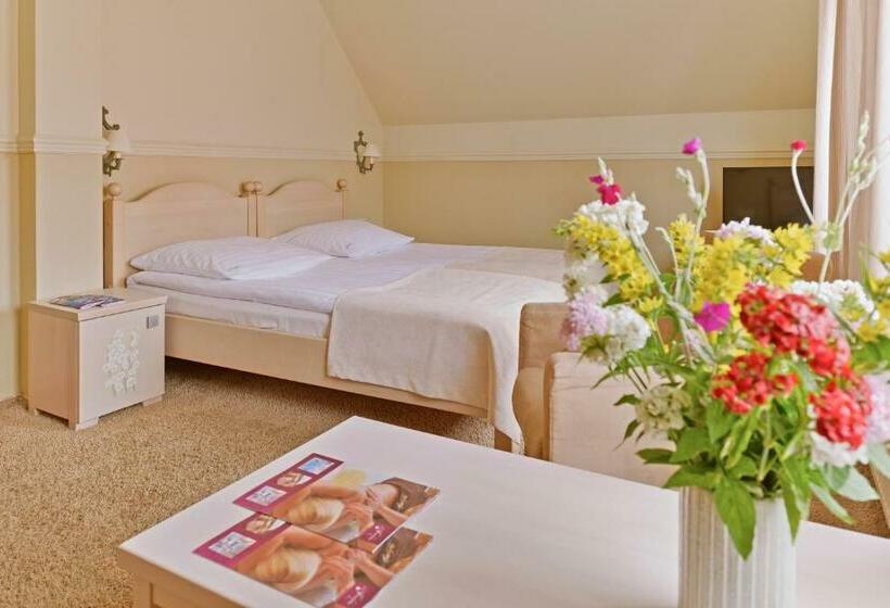 Номер Комфорт, Afrodyta Spa & Wellness Resort