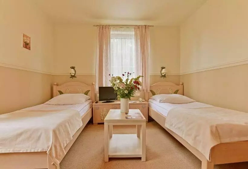 Standard-huone, Afrodyta Spa & Wellness Resort