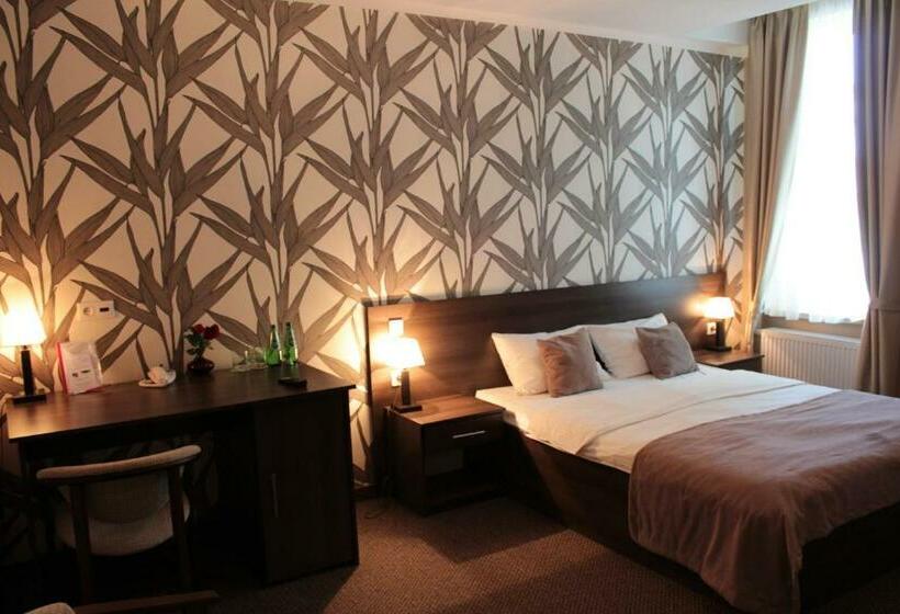 اتاق استاندارد یک نفره, Aviator Hotel Restauracja & Spa