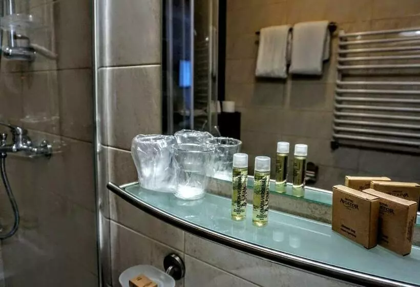 スタンダードシングルルーム, Aviator Hotel Restauracja & Spa