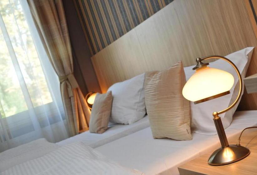 اتاق راحتی یک تخته, Aviator Hotel Restauracja & Spa