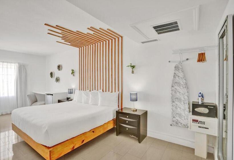 豪华工作室, Belleza