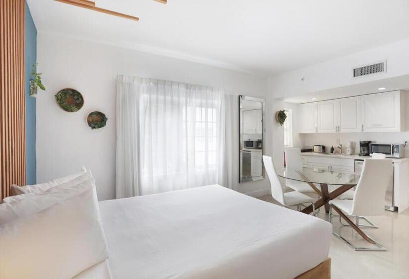 高级工作室, Belleza