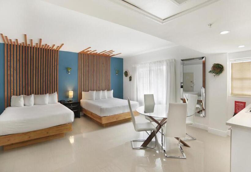 高级工作室, Belleza