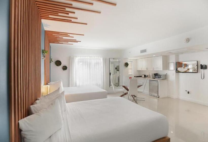 高级工作室, Belleza