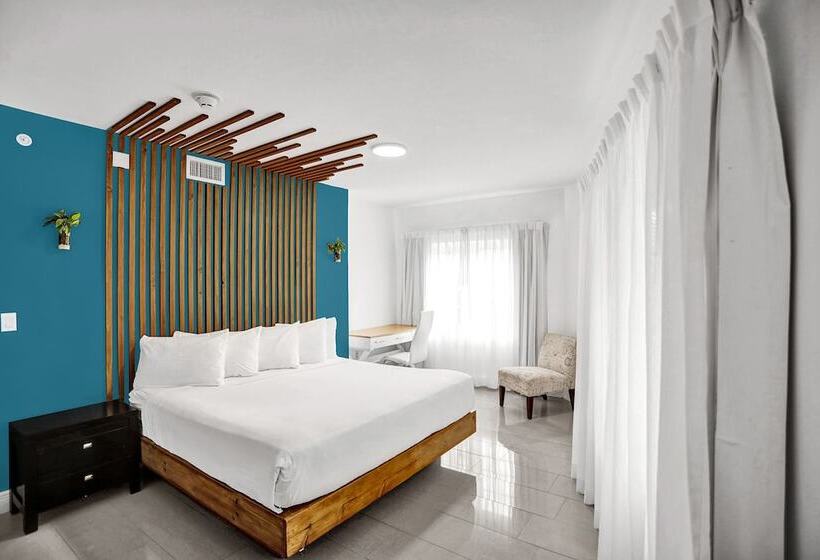 家庭套房, Belleza