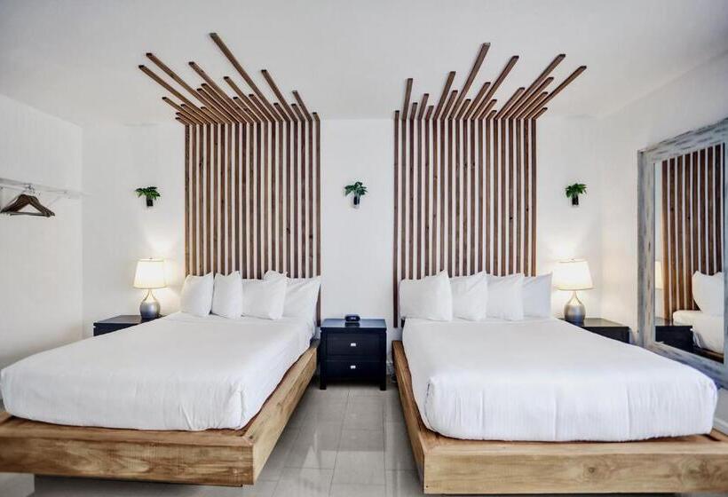 家庭套房, Belleza