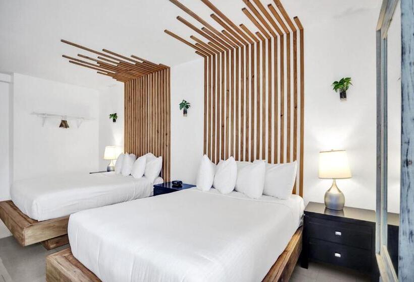 家庭套房, Belleza