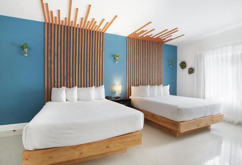 高级工作室, Belleza