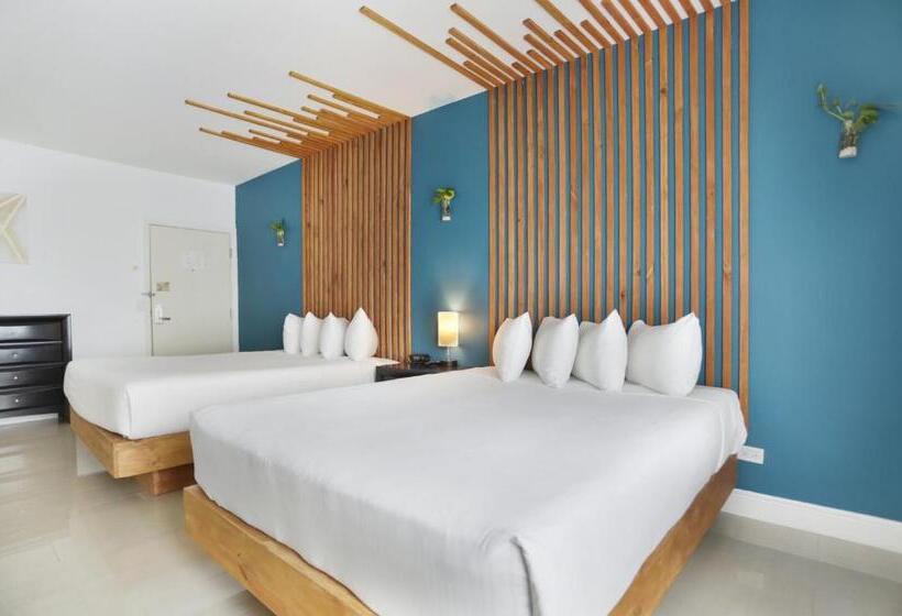 高级工作室, Belleza