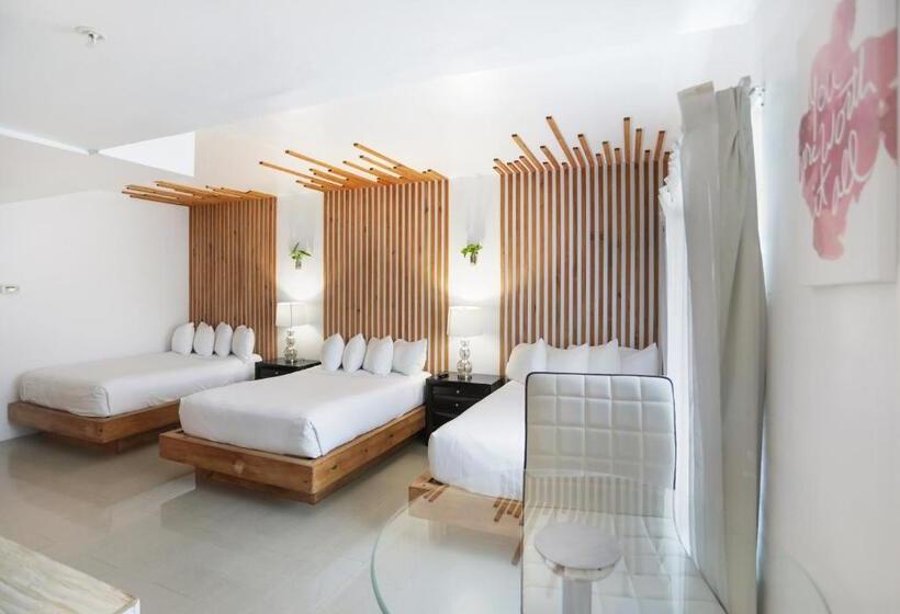 高级套房, Belleza