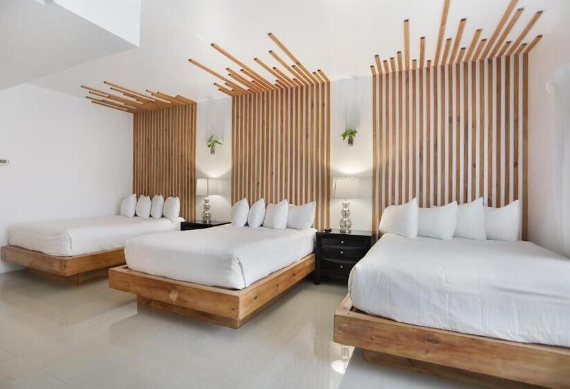 豪华工作室, Belleza