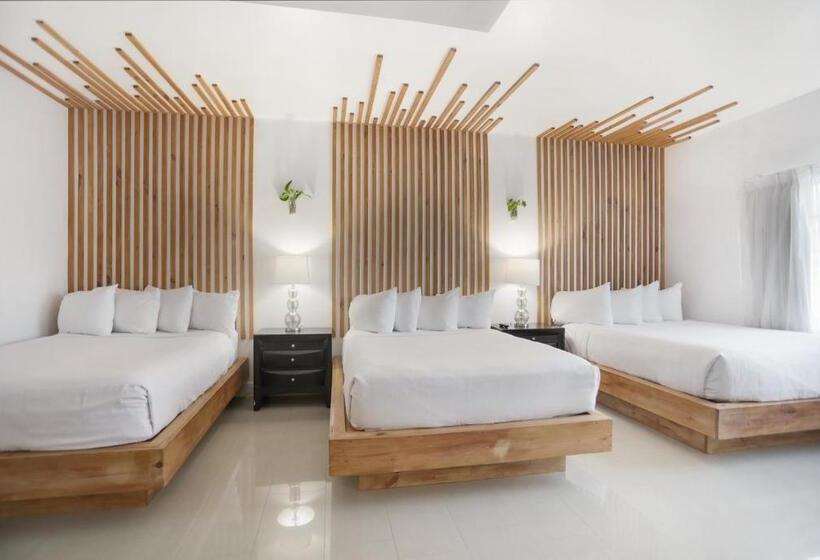 高级套房, Belleza