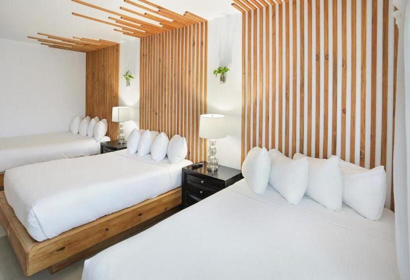 高级套房, Belleza