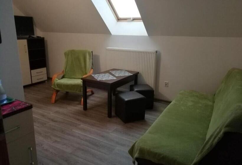 침실 1개 아파트, Dom Wczasowy Pięciu Pomostów I Domki Letniskowe