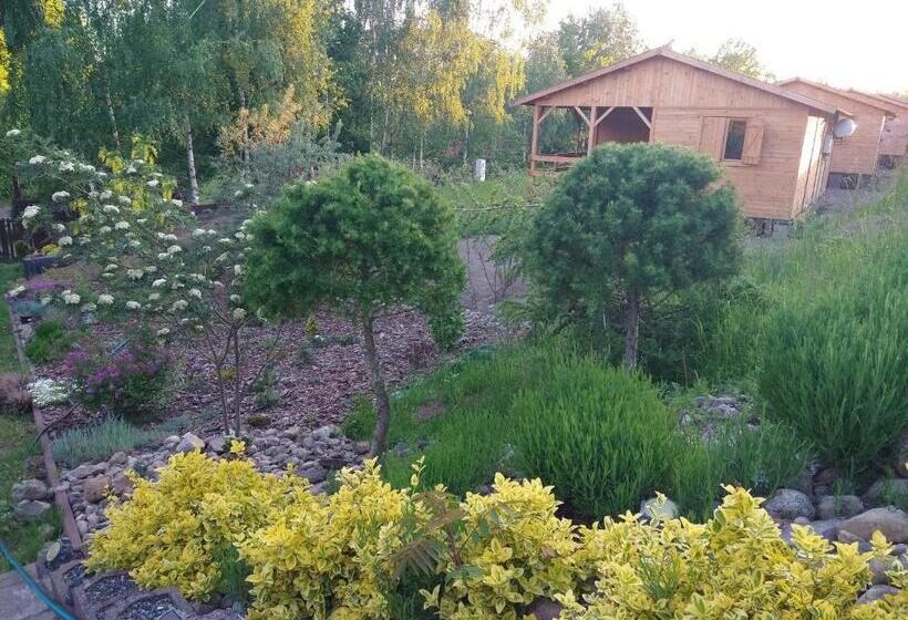 샬레, Dom Wczasowy Pięciu Pomostów I Domki Letniskowe