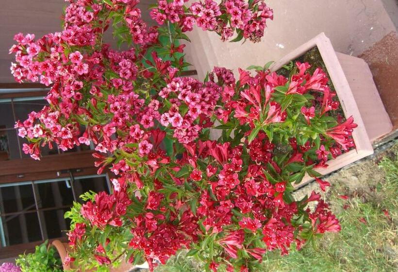 클래식 스위트, Dom Wczasowy Pięciu Pomostów I Domki Letniskowe