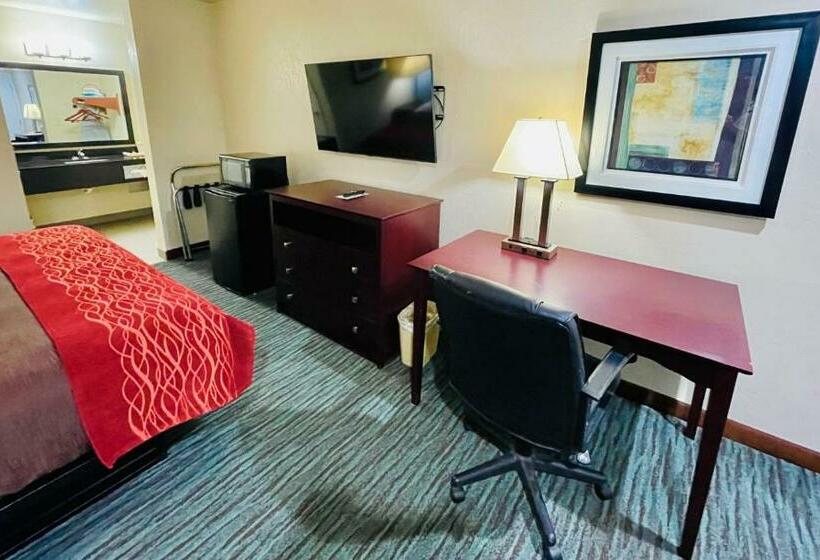 스탠다드 룸 킹사이즈 침대, Garden Inn And Suites Little Rock