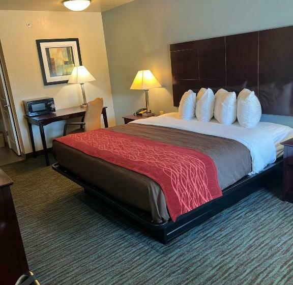 스탠다드 룸 킹사이즈 침대, Garden Inn And Suites Little Rock