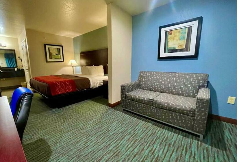 스탠다드 룸 킹사이즈 침대, Garden Inn And Suites Little Rock