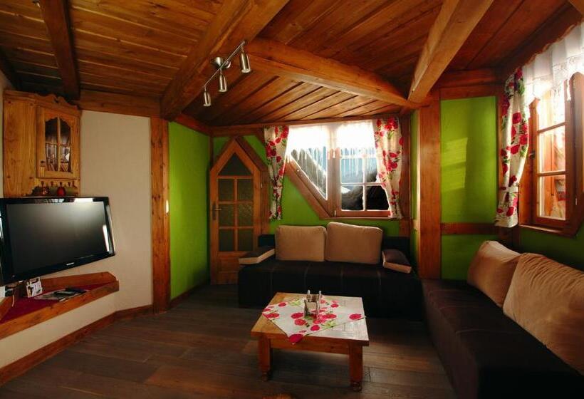 استودیو استاندارد با چشمانداز, Goralski Dwor