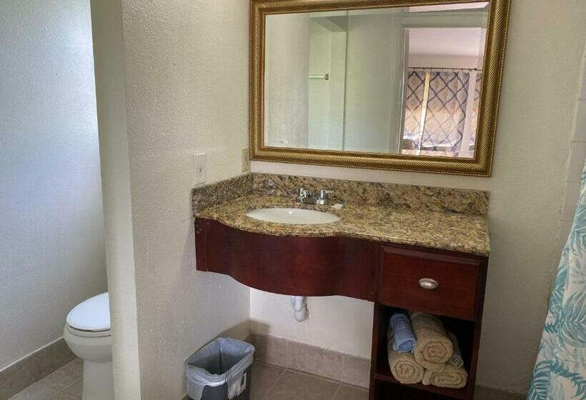 غرفة قياسية سرير كينج, Jasmine Garden Inn