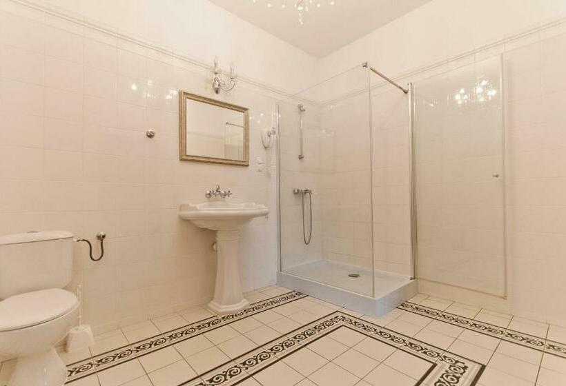 １ベッドルームアパートメント, Moszna Zamek