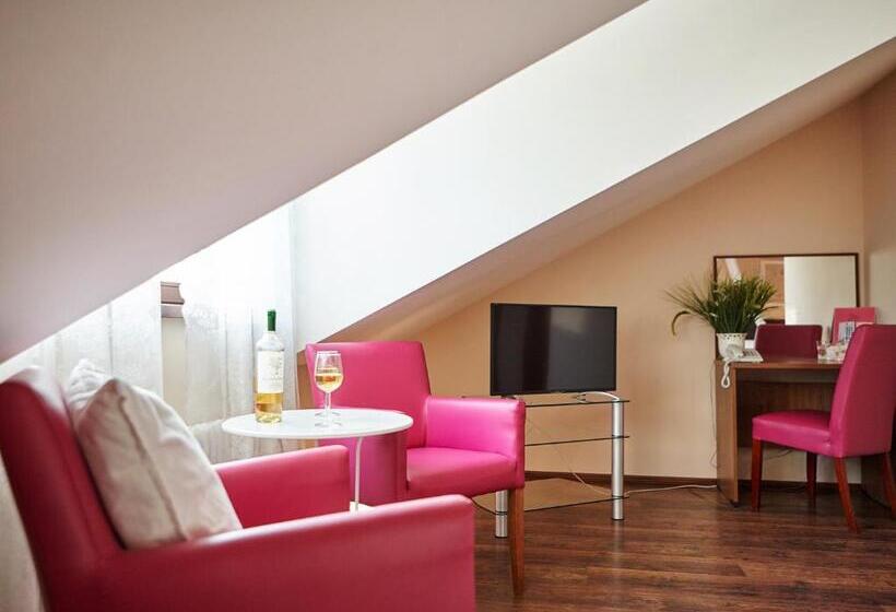 اتاق استاندارد, Pensjonat Pod Jemiołą