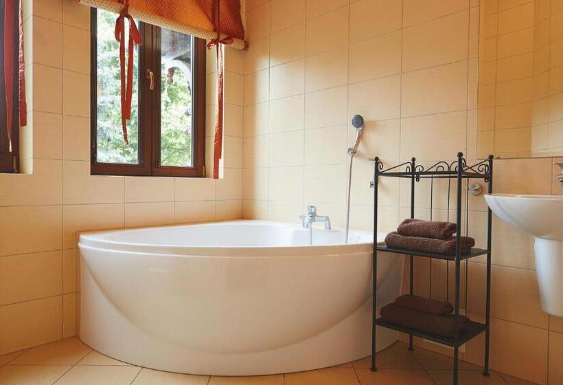 اتاق استاندارد, Pensjonat Pod Jemiołą