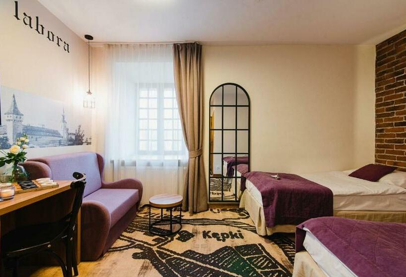 带2个双人床的标准工作室, Podklasztorze