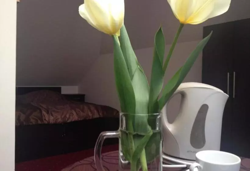 Standard Kolmen Hengen Huone, Rezydencja Lux