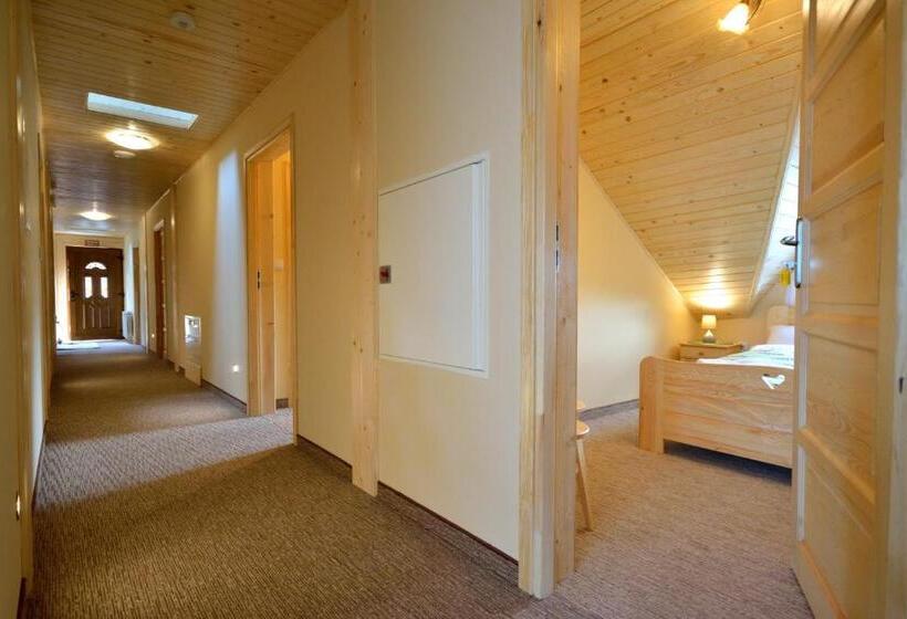 스탠다드 룸, Sykowny Biały Dunajec