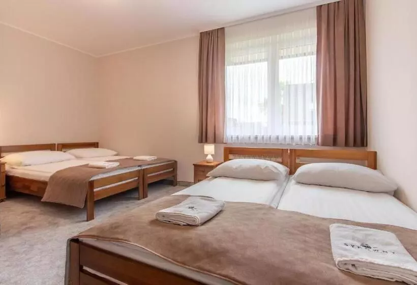 اتاق استاندارد چهار تخته, Sykowny Biały Dunajec