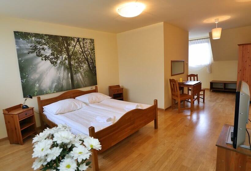 חדר דלוקס, Vesta Centrum Konferencyjno Wypoczynkowe