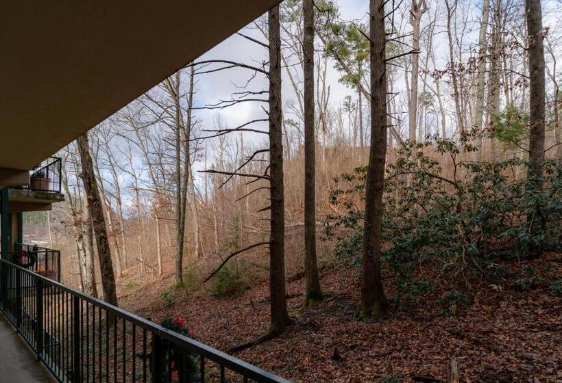דירה בת חדר שינה 1 עם נוף, Condo In Gatlinburg Very Peaceful   10 Min Walk To Main Strip
